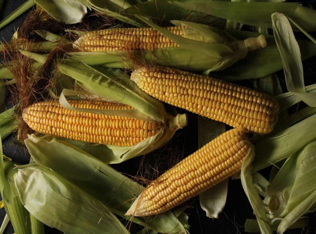 Can Babies Eat Corn Syrup Tbfoodcorner