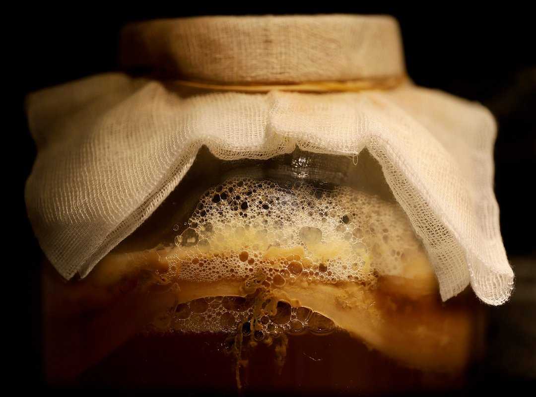 fermenting vegetables guide