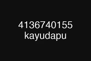 4136740155 kayudapu