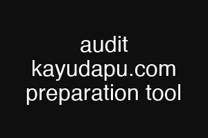 audit kayudapu.com preparation tool