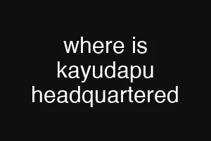 where is kayudapu headquartered